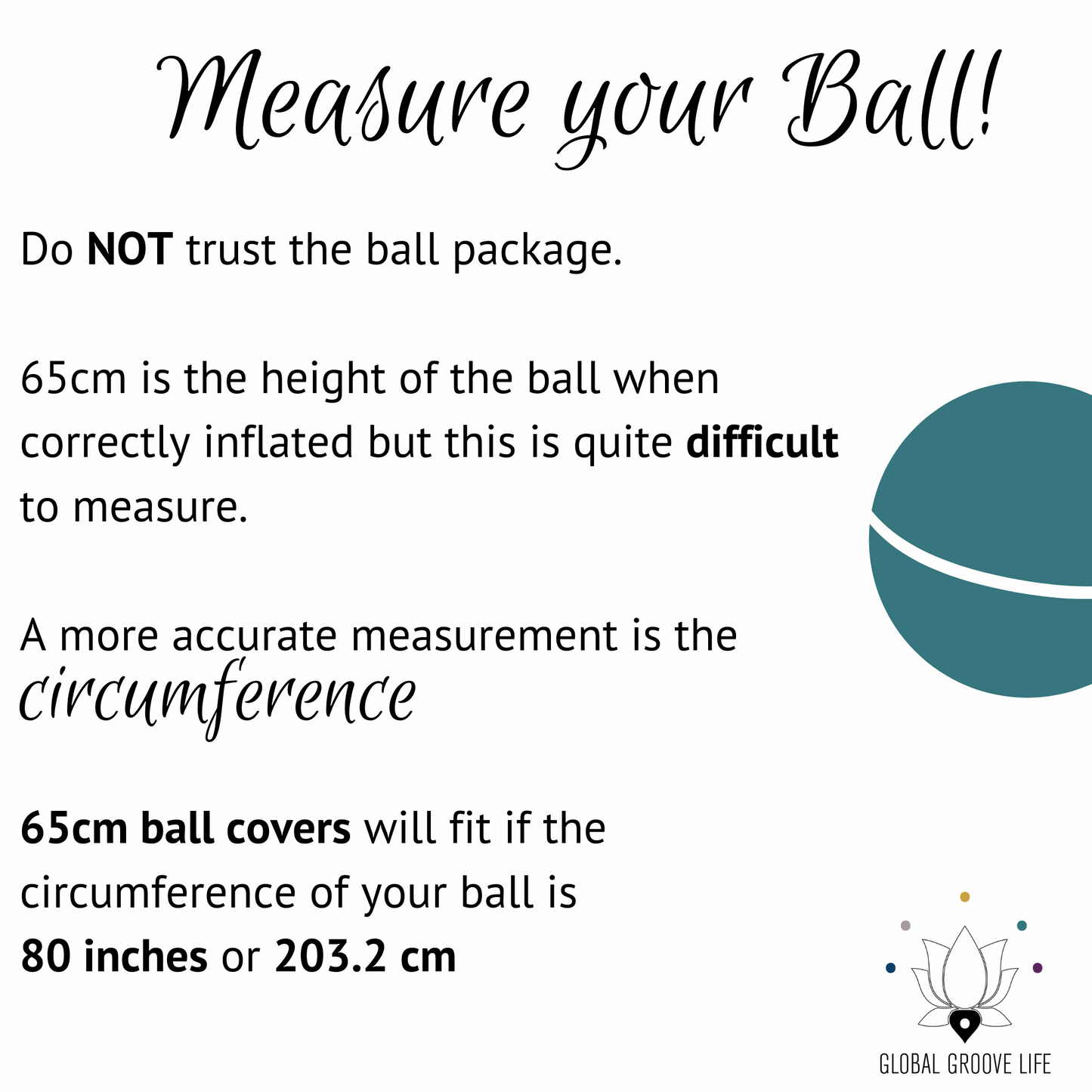 65cm Balance Ball / Yoga Ball Cover: Black Paisley