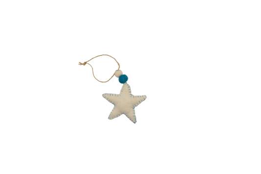 Turquoise Snowflake Star Ornament