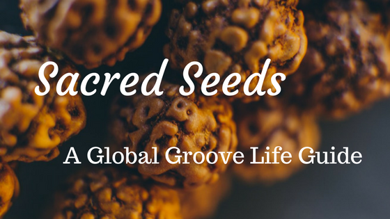 Sacred Seeds: A Global Groove Life Guide