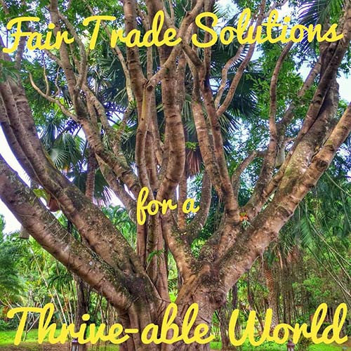Fair Trade Solutions for a Thrive-able World