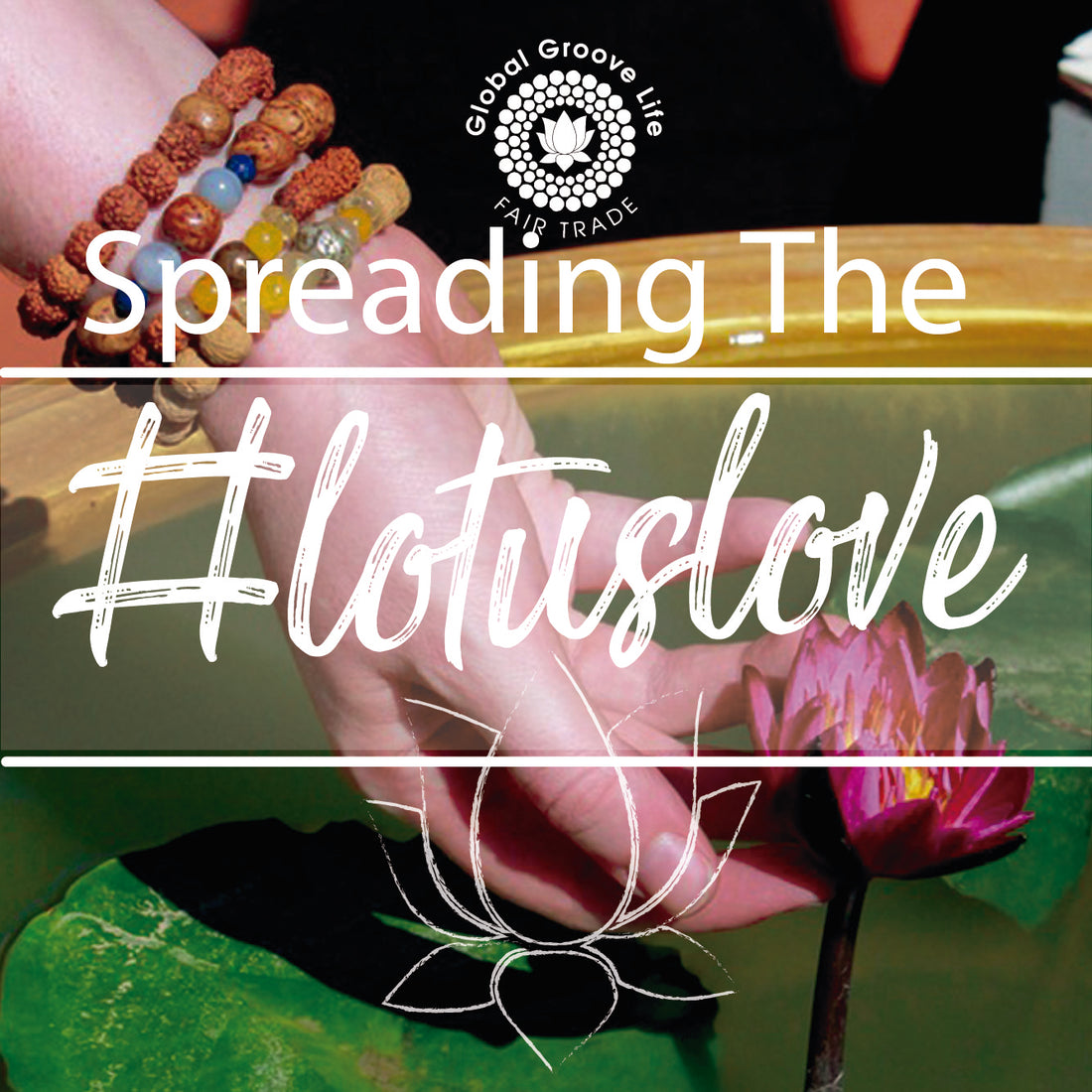 Spreading The #LotusLove