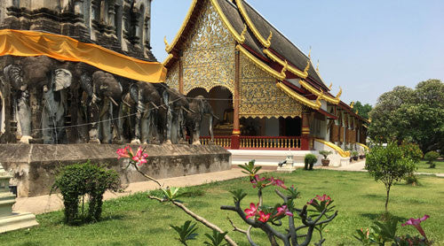 One week in Chiang Mai: Exploring culture