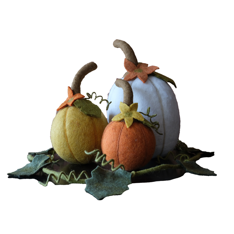 Harvest Tabletop Decor