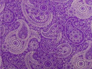 65cm Balance Ball / Yoga Ball Cover: Purple Paisley